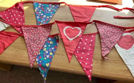 Photo of free Bunting (Riverside B98) #3