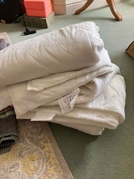 Photo of free Duvets x 2 - each 4.5 tog (Goffs Oak EN7) #1