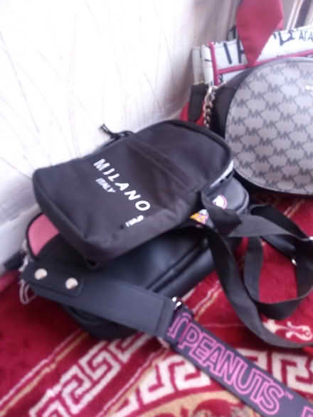 Photo of free Bags great condition 5 (Bd47jf) #1