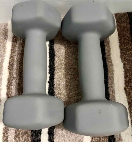 Photo of free crane 5kg dumbells (Kirkley NR33) #1