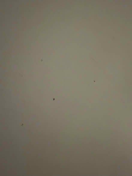 Photo of free Ikea desk (co2 7qp) #3