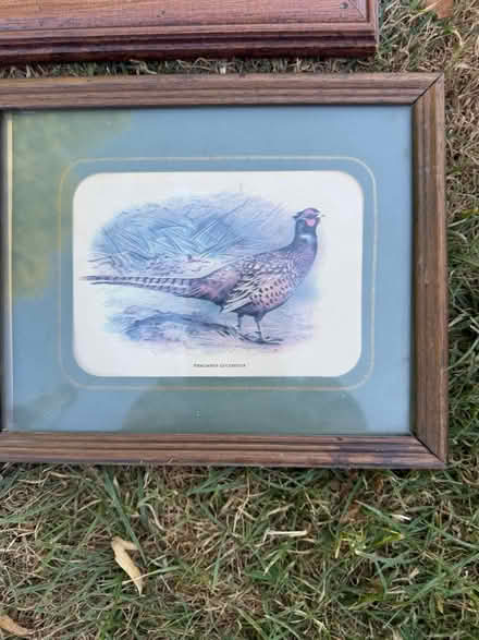 Photo of free 3 old pictures in frames (Burgess hill RH15) #3