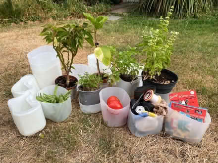 Photo of free Plastic plant drip trays or litre tubs for your fruit & veg? (Abbotswood GL3) #1