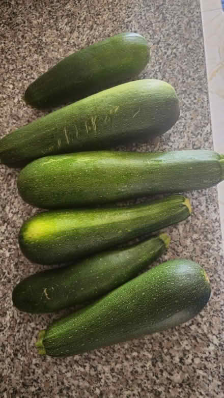 Photo of free courgette (Wembley HA9) #1