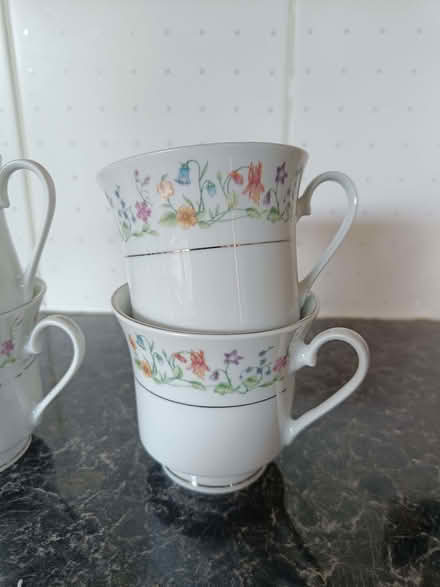 Photo of free Tea cup and saucer set (Bramhall SK7) #3