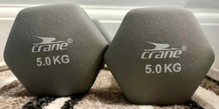 Photo of free crane 5kg dumbells (Kirkley NR33) #2
