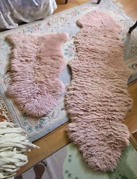 Photo of free 2 Pink Sheepskin Fleeces, (Kingsmoor CM18) #1