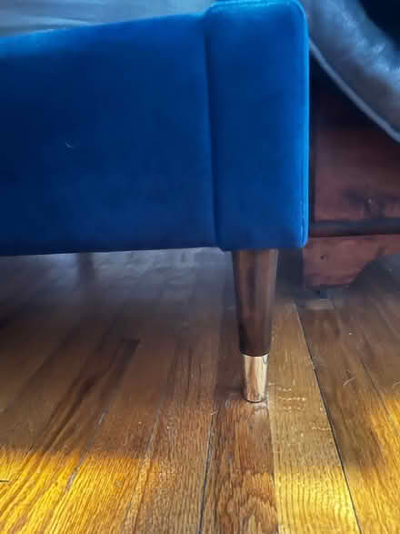 Photo of free Blue Velvet Queen Bedframe (West Somerville) #2