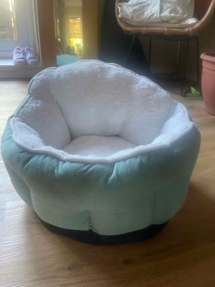 Photo of free Cat bed (Canonbury N1) #1