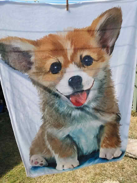 Photo of free Super soft throw (Stroud GL5) #1