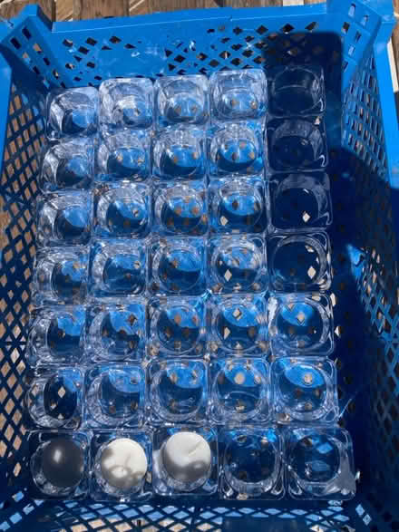 Photo of free Tea light holders (Combe Down BA2) #2