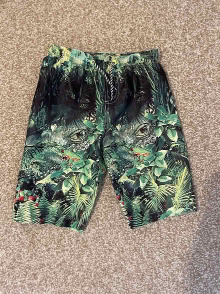 Photo of free Boys Next Swimmimg Shorts (Appleton WA4) #1