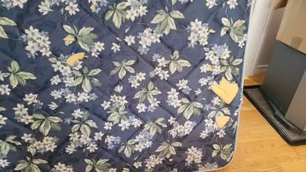 Photo of free Queen size mattress (Nepean) #3