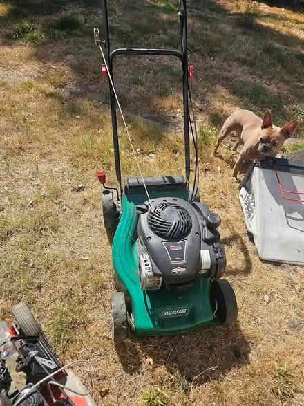 Photo of free Lawn mowers (Devizes SN105SA) #3