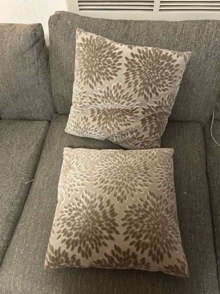 Photo of free 2 pillows (Atwater Village) #1