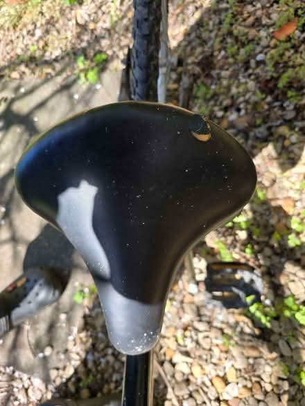 Photo of free Tag along bike (Kennington OX1) #3