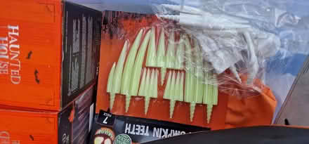 Photo of free Halloween items (Royston SG8) #4