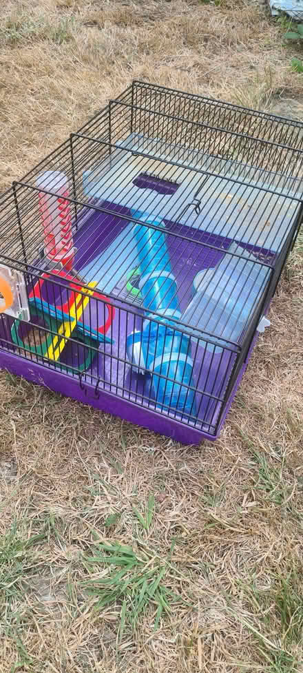 Photo of free Hamster Cage (High Brooms TN2) #1