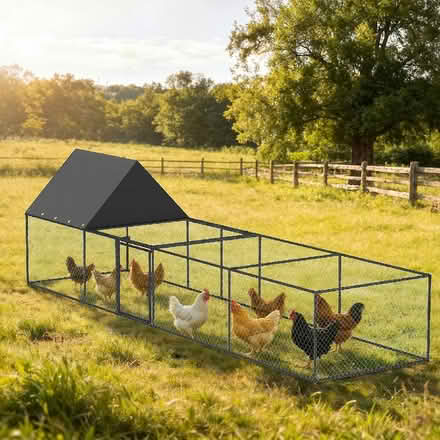 Photo of Chicken coop/rabbit cage (Harold Wood RM3) #2