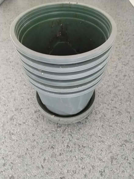 Photo of free 6 plastic plant pots with drainage saucers (Little Neston CH64) #1