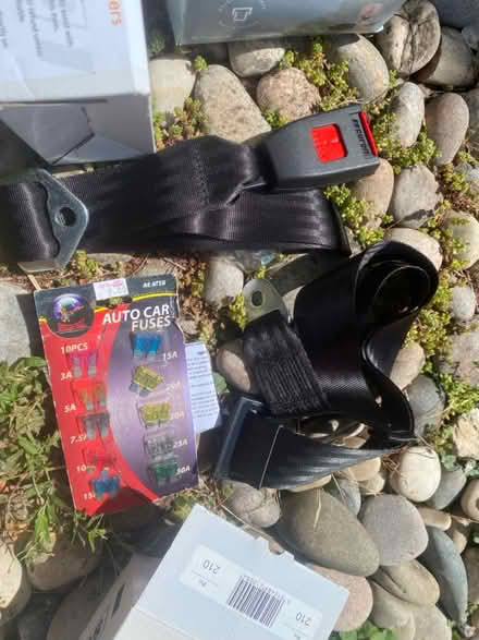 Photo of free Car Seat Lap Belt (Brighton BN1) #1