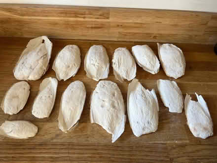Photo of free Cuttlefish for parrots/small birds (Burncross S35) #1