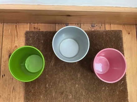 Photo of free 3 Indoor Plant Pots (St Albans AL3) #2