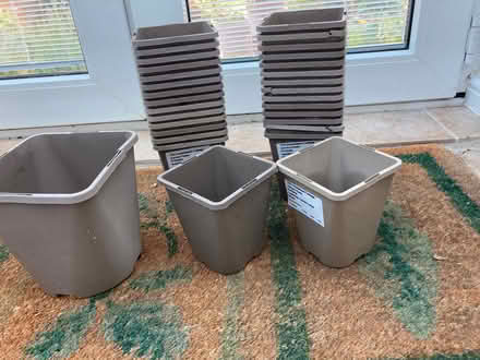 Photo of free 1 x medium and 30 small Plant Pots as per pic (Bexhill TN39) #2
