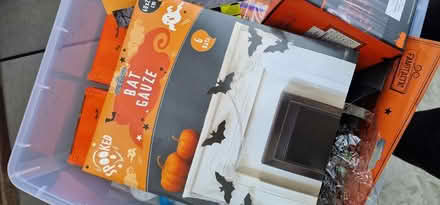 Photo of free Halloween items (Royston SG8) #2