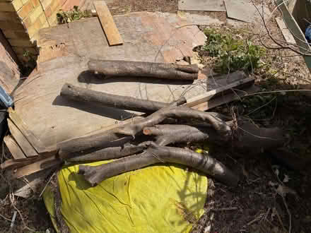 Photo of free Some logs (Crown Wood RG12) #1