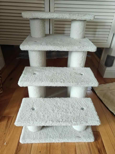 Photo of free Cat items (El Sobrante) #1