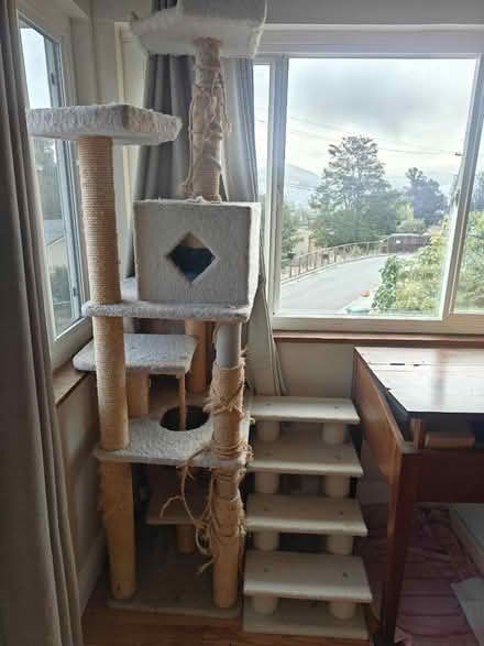 Photo of free Cat items (El Sobrante) #3