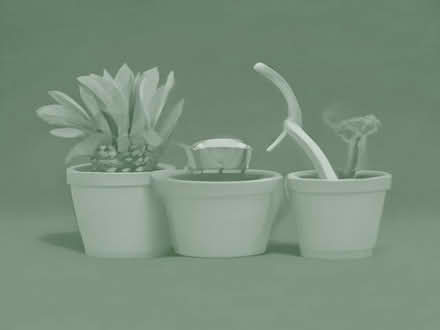 Photo of Terracotta pots and gardening tools (Fleetville AL1) #1