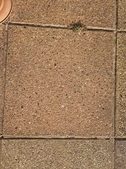 Photo of 600 x 600mm slabs (Gunton NR32) #3