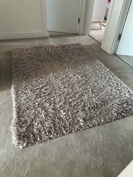 Photo of free Light grey shaggy rug (Feniscowles BB2) #1