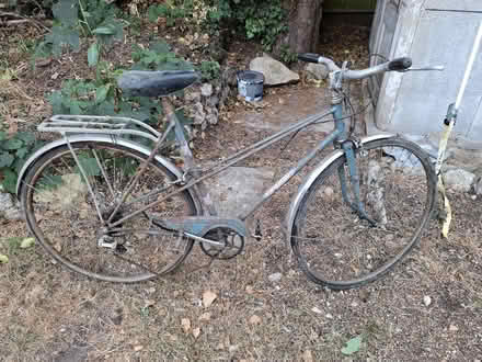 Photo of free Old ladies Raleigh bicycle (Lye Valley OX4) #1