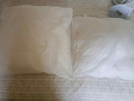 Photo of free Cushion pads (Temple Cowley OX4) #2