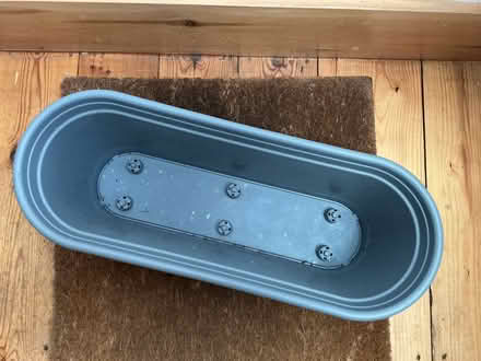 Photo of free Plastic plant pot and tray (St Albans AL3) #2