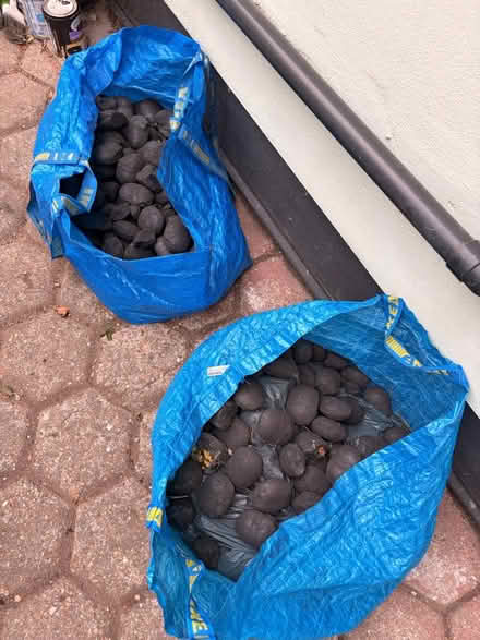 Photo of free Coal (Dartford, DA9) #1