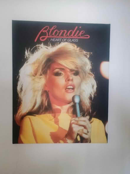 Photo of free Blondie canvas (Devon Park MK40) #1