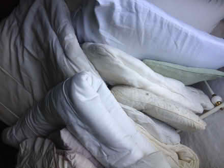 Photo of free Blankets, duvets, towels, cushions (Oakridge RG21) #4