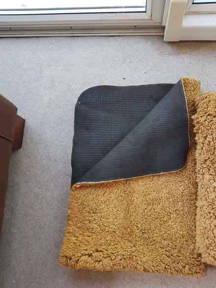 Photo of free Cotton pile & rubber backed rugs (Kendal LA9) #3