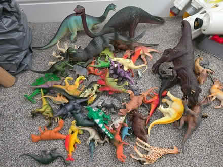 Photo of free Dinosaurs (Potters Bar EN6) #1
