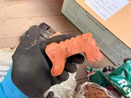 Photo of free Gardening goodies (Highbury N5) #3