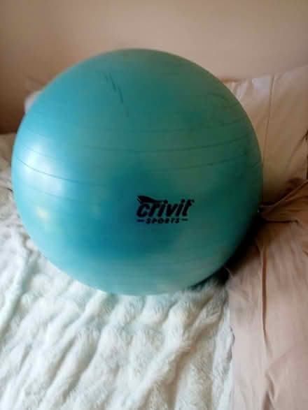 Photo of free Fitness ball (Polegate BN26) #1