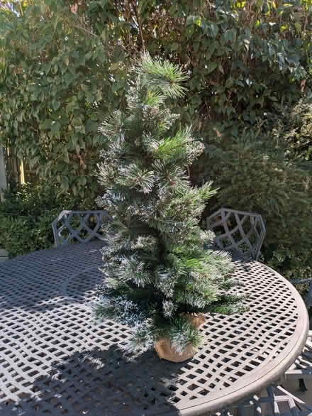 Photo of free Desktop artificial Xmas tree. (Swanwick DE55) #1