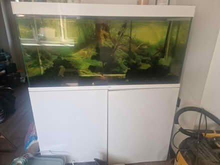 Photo of free Large fish tank (B632LP) #2