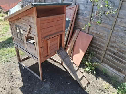 Photo of free Chicken coop (South Norwood, SE25) #3