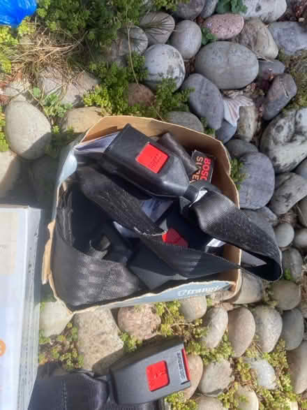 Photo of free Car Seat Lap Belt (Brighton BN1) #3