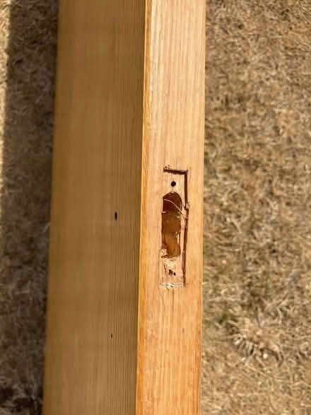 Photo of free Timber door (North wootton PE30) #3